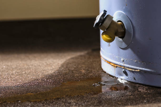 Professional Water damage restoration in Mineralwells, WV