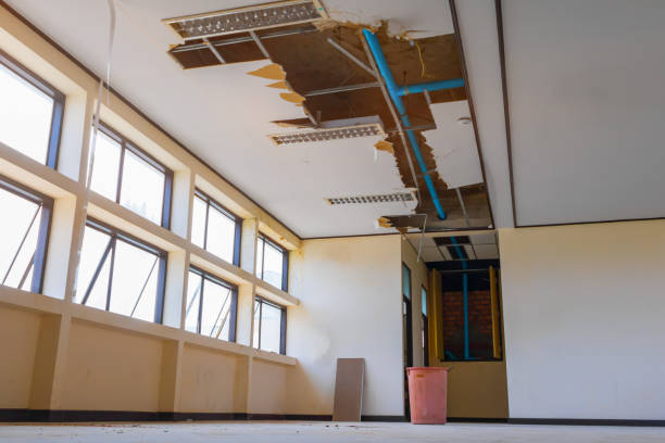 Best Water damage contractors near me  in Mineralwells, WV