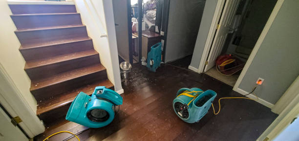 Best Local water damage restoration  in Mineralwells, WV