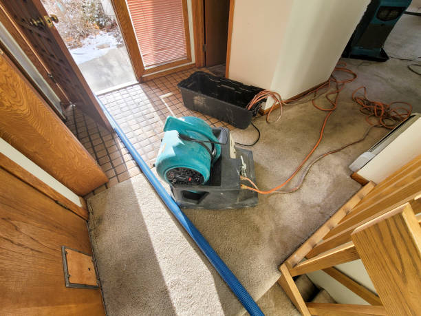 Best Fire Damage Restoration  in Mineralwells, WV