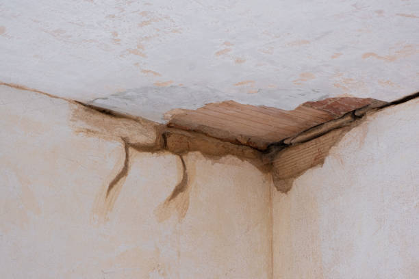 Best Basement water damage restoration  in Mineralwells, WV