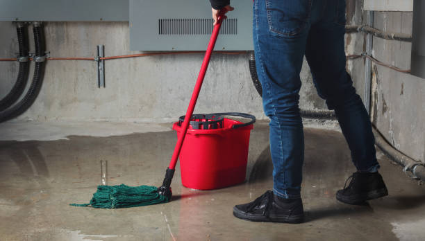 Best Ceiling water damage repair  in Mineralwells, WV