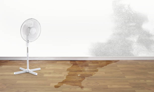 Best Flooded house restoration  in Mineralwells, WV