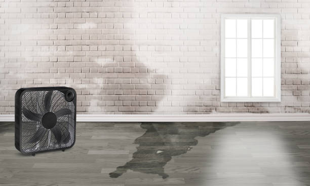 Best 24-hour water damage restoration  in Mineralwells, WV