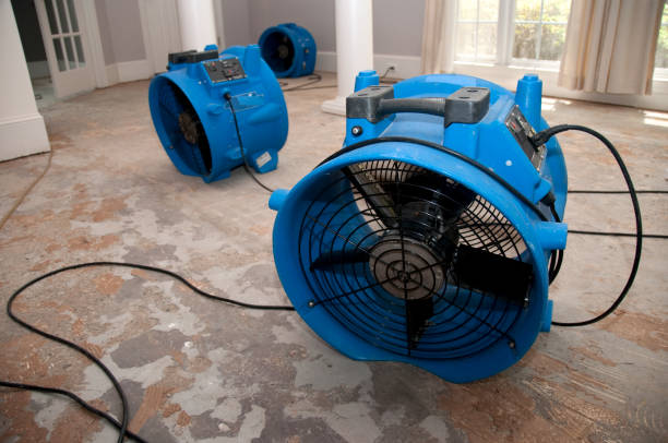 Best 24/7 water damage repair  in Mineralwells, WV