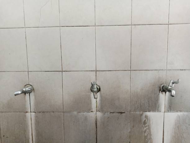 Best Commercial water damage restoration  in Mineralwells, WV