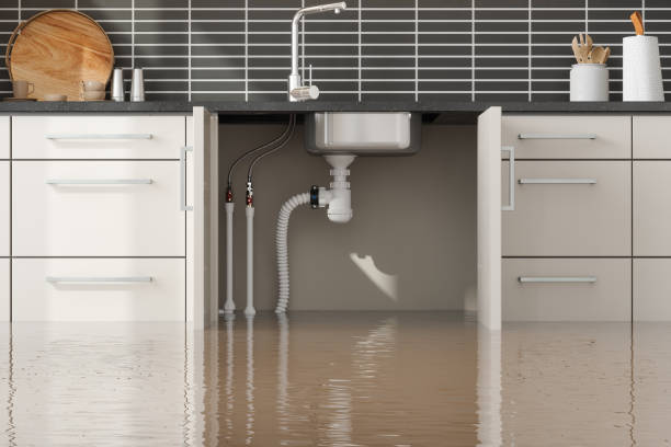 Best Basement water damage restoration  in Mineralwells, WV