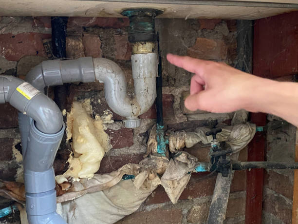 Best Mold removal after water damage  in Mineralwells, WV