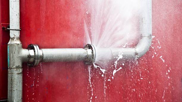 Best Water damage restoration near me  in Mineralwells, WV